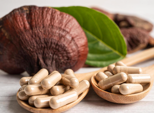 What are Nootropics and Adaptogens? An Intro to Brain-Boosting Botanicals